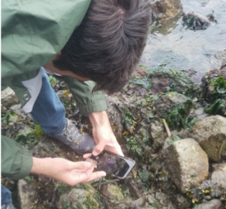 Friday Harbor Bioblitz 2019: Northeastern students sample the marine biodiversity of the Pacific Northwest