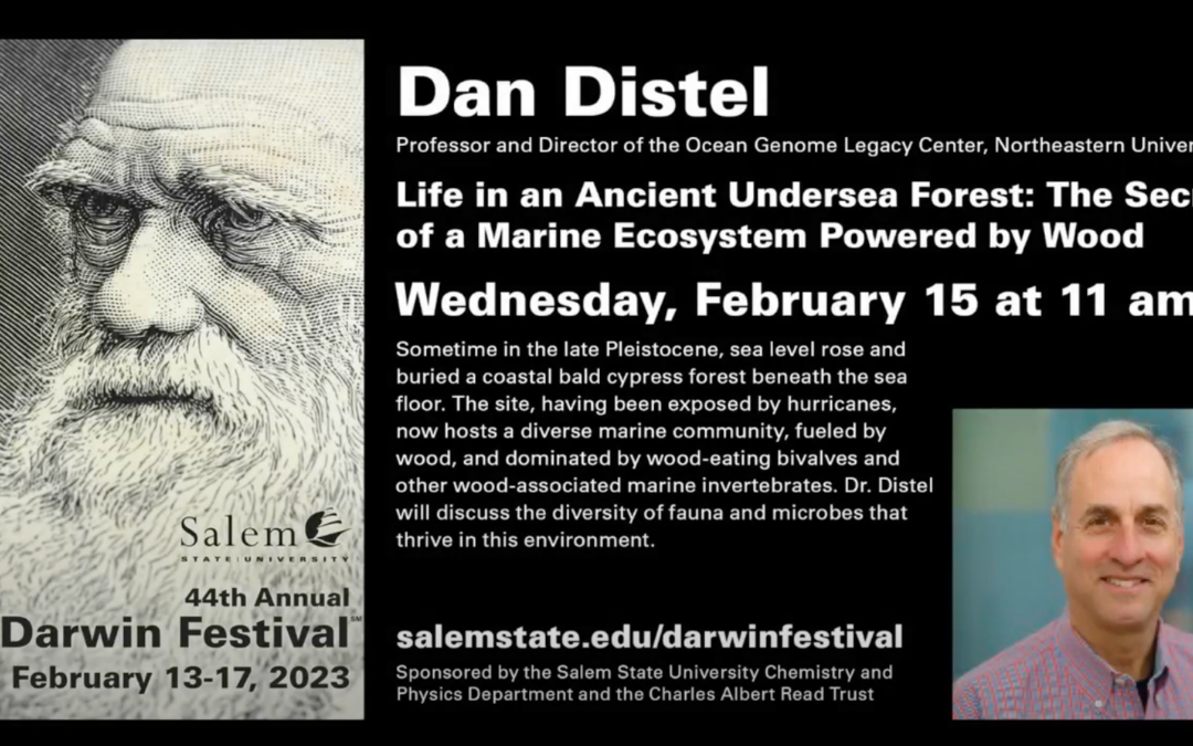Watch Dan Distel’s Darwin Festival Talk!