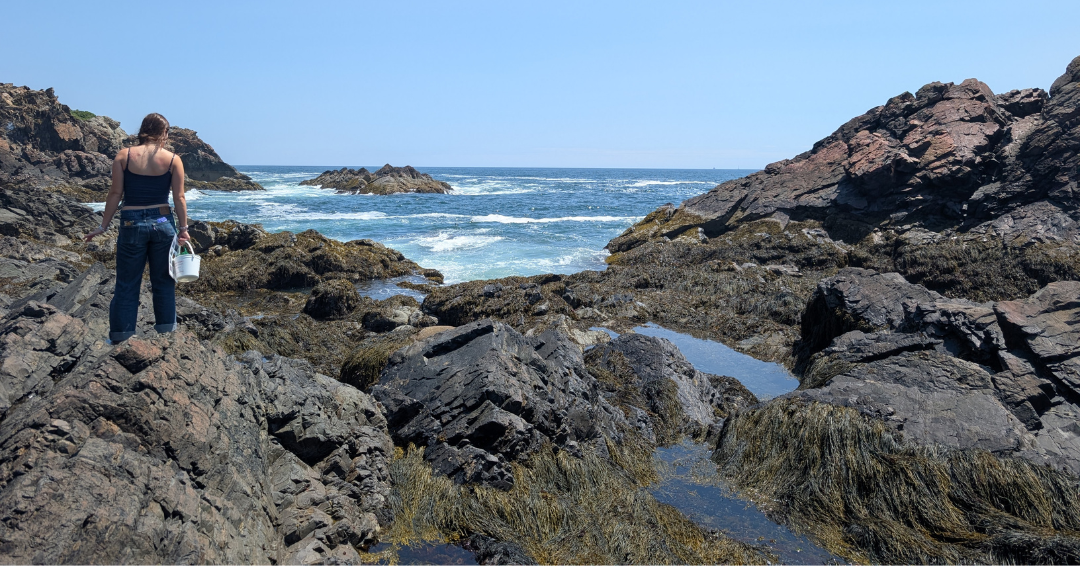 OGL’s New Taxonomy Summer Camp & Bioblitz Mixes Research, Learning, and Hands-On Fun